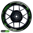 Kawasaki Ninja Rim Decals Design DOTS