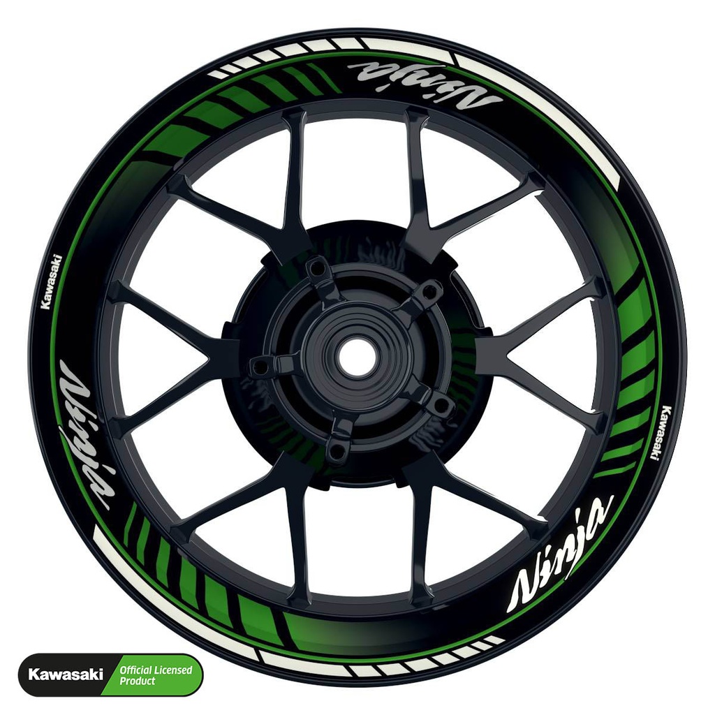 Kawasaki Ninja Rim Decals Design Techno