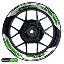 Kawasaki Ninja Rim Decals splitted Design GRID2 V2