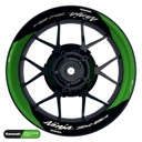 Kawasaki NINJA ZX-6R Rim Decals Design Saber