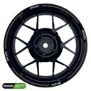 Kawasaki ZX10R Rim Stripes Design V3