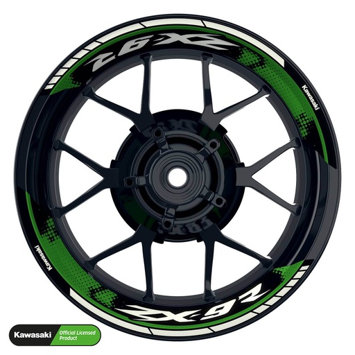 [42276-07-KM] Kawasaki ZX-9R Rim Decals splitted Design Dots