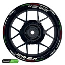 Kawasaki ER6N Rim Decals Light Design V6